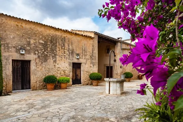   Finca Porreres
