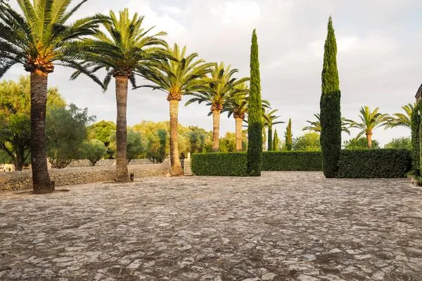   Finca Porreres