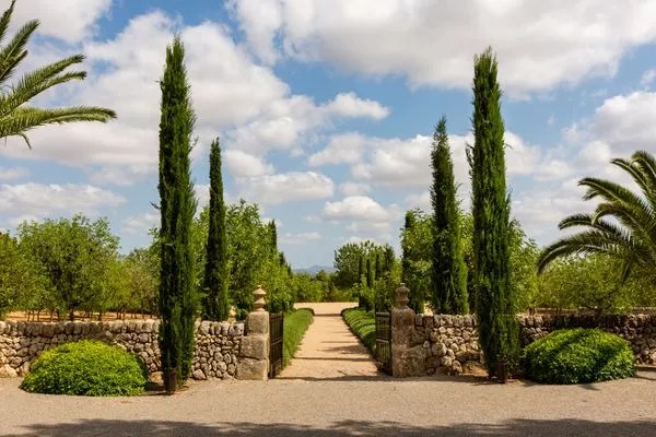   Finca Porreres