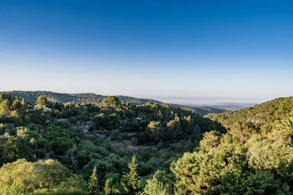 Berge  Finca Roca Bella