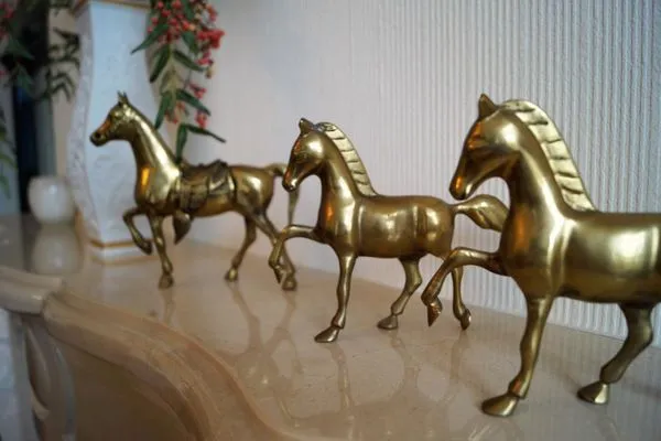   Villa Undine Wohnung Nr. 6