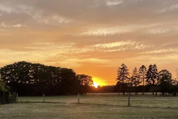   Ferienwohnung Wiesenblick