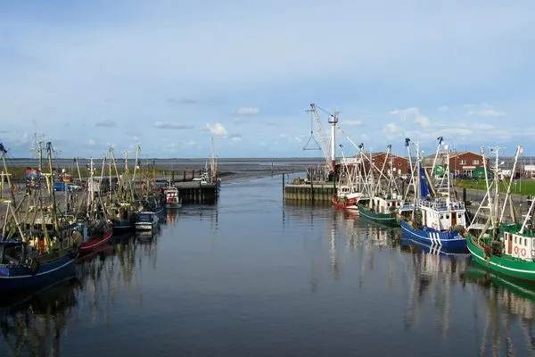   Ferienhaus Plattfisch