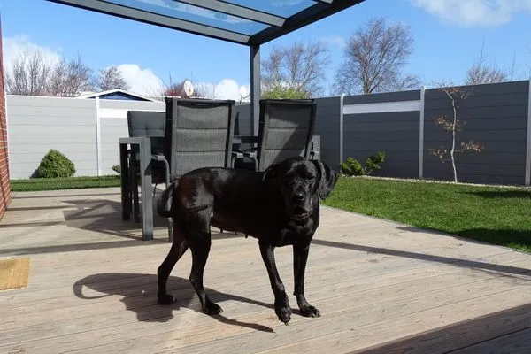   Ferienhaus Plattfisch