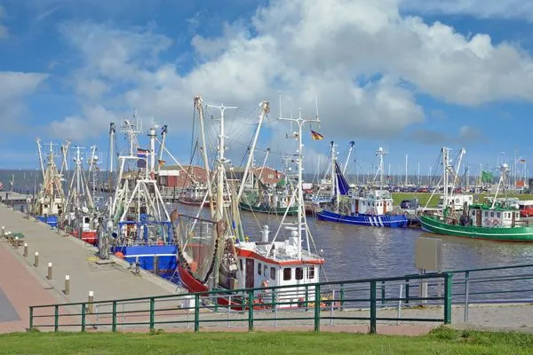   Ferienhaus Klippenbarsch