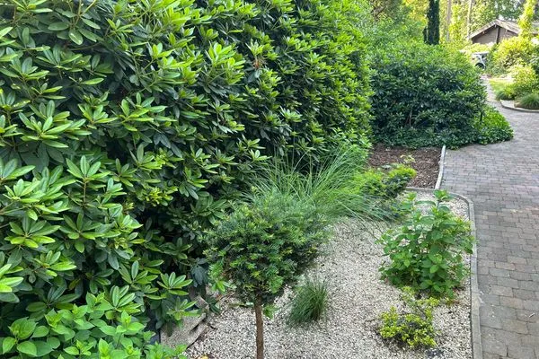   Ferienhaus Kaninchenhoehle