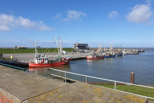   Ferienhaus Kompassqualle