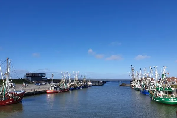   Ferienwohnung Kleine Moewe