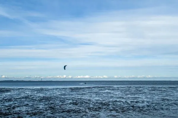   Ferienhaus Pfeffermuschel