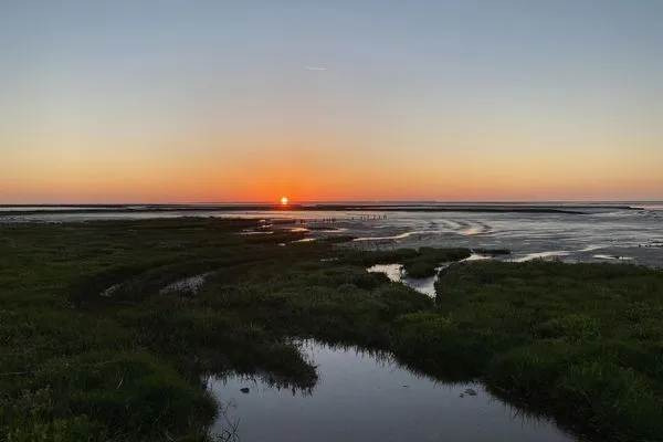   Ferienhaus Pfeffermuschel