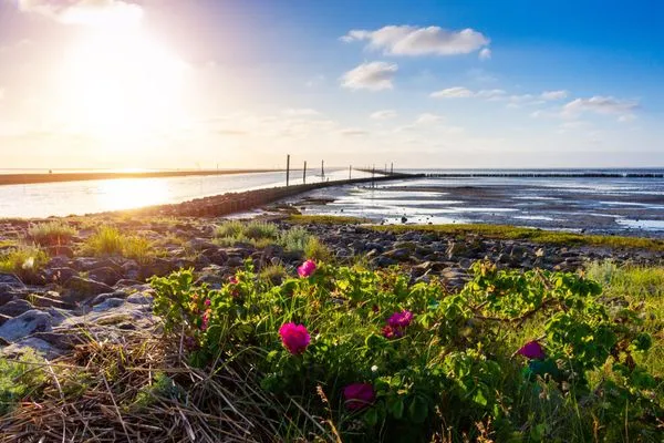   Ferienhaus Nordstern