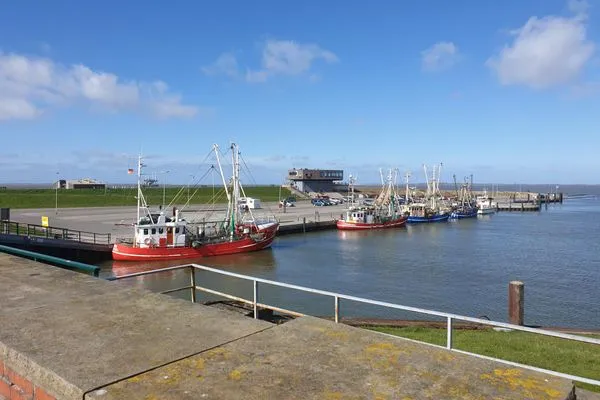   Ferienhaus Kegelrobbe