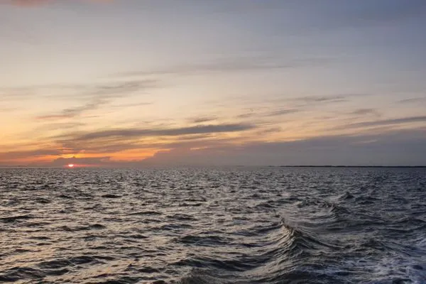   Ferienhaus Wiesenpieper