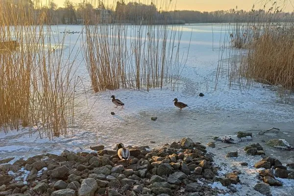 Landschaft  Seehof, Whg. 1.33