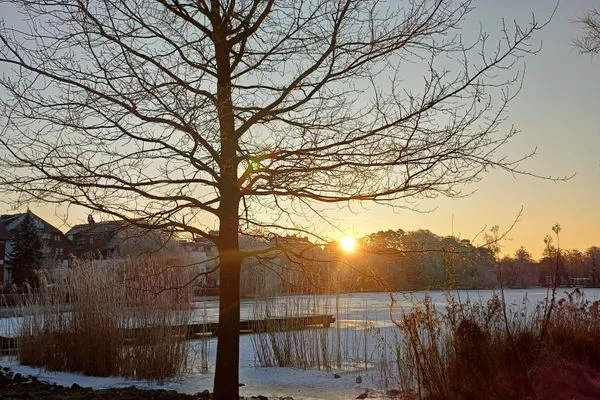 Landschaft  Seehof, Whg. 1.33