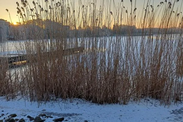 Landschaft  Ostseepark, Whg. 703