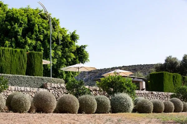 Hauptansicht  Finca Son Silvestre