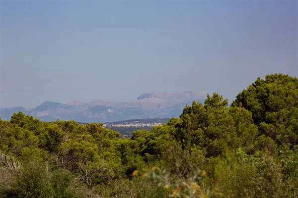 Berge  Finca Son Silvestre