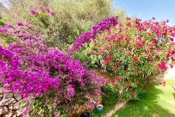   Finca Flor de la vida