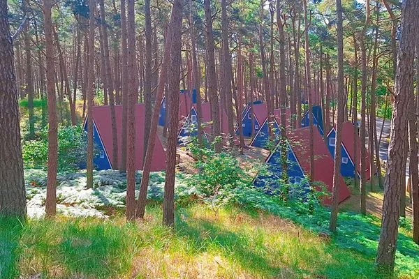   Finnhütte im Herzen der Natur – Erholung zwischen Wald und Meer - Heinrich