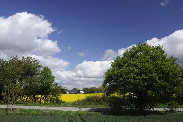 Landschaft  EulenNest