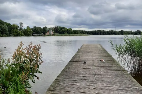 Landschaft  Schloonseevillen, Whg. 13