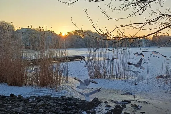 Landschaft  Schloonseevillen, Whg. 06