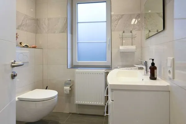 Badezimmer Godenhus Ferienwohnung Hannes