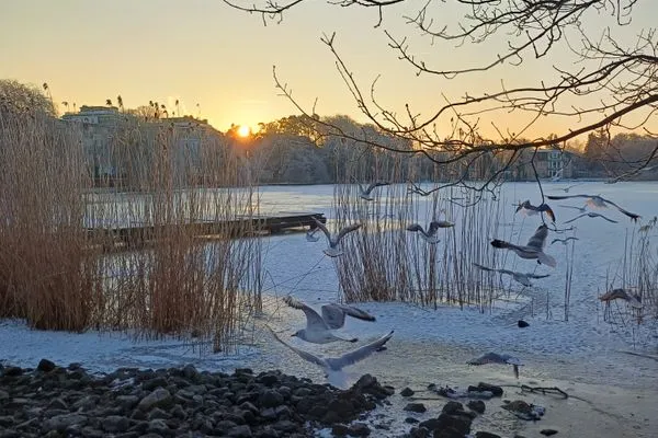 Landschaft  Schloonseevillen, Whg. 25