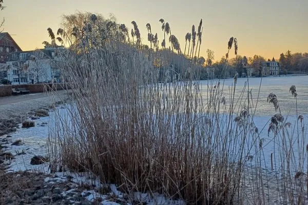 Landschaft  Ferienhaus Mona