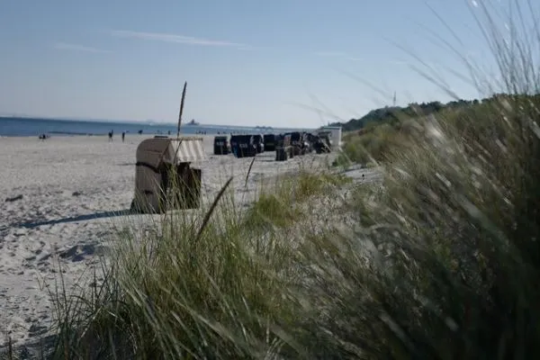 Strand  Ferienhaus Odin