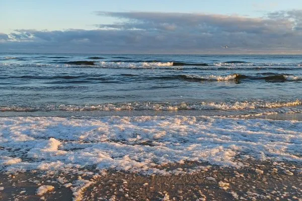 Strand  Ostseeresidenz Gorki Park, Whg. 02