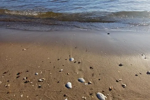 Strand  Ostseeresidenz Gorki Park, Whg. 03