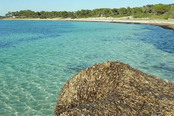 Strand  Beach House Colonia