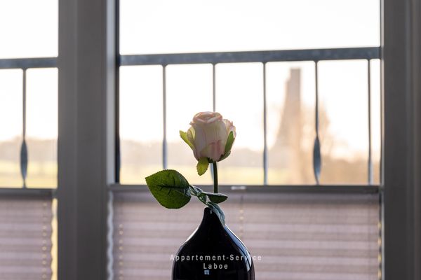  ST - Fördeblick Stein - Dekoratives Detail