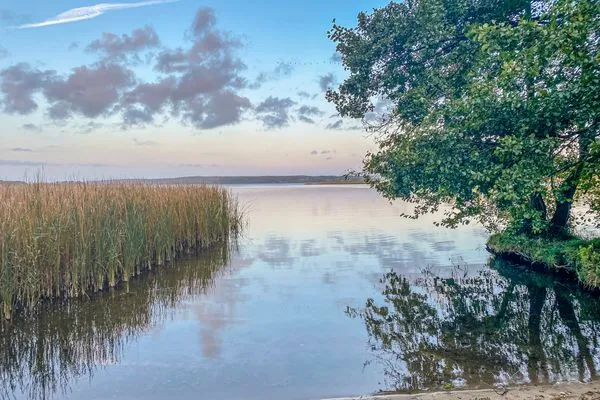 Ferienhaus Tamika am Tollensesee - am Tollensesee  Tamika