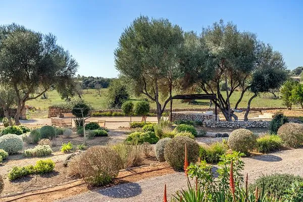   Finca Es Rotagut
