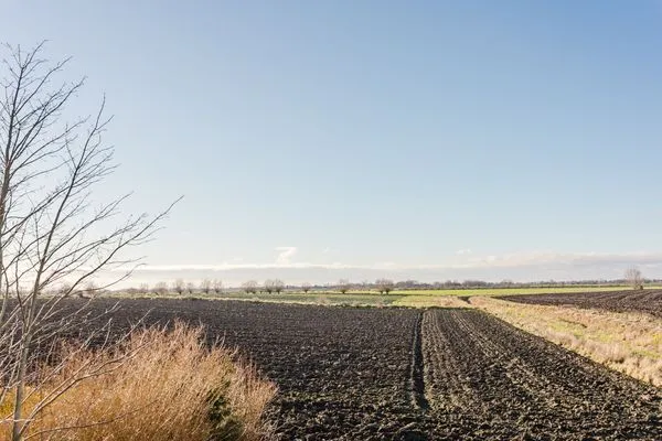 Gartenblick  Wellnesshaus Strandläufer