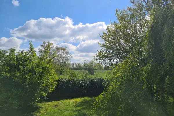   Ferienhaus Austernfischer