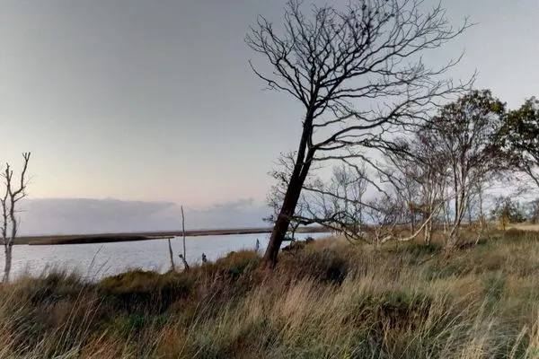 Blick auf den See mit Schilf und Bäumen  Ferienhaus  Deichoase