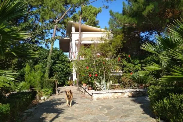 Hauptansicht  Matina 1