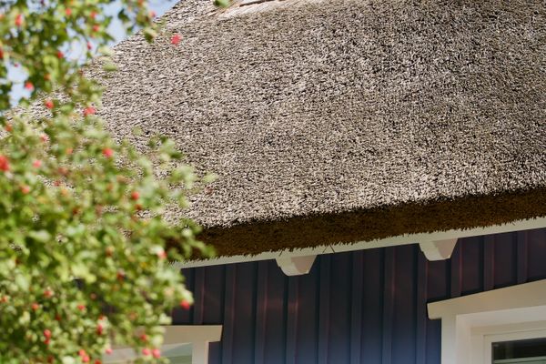  Haus Meerblau Born - Hauptansicht
