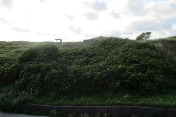  Dünenkant Norderney - Gartenblick