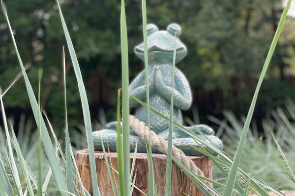  Whg. Strandhütte - Vierlindenhof Böhl - 