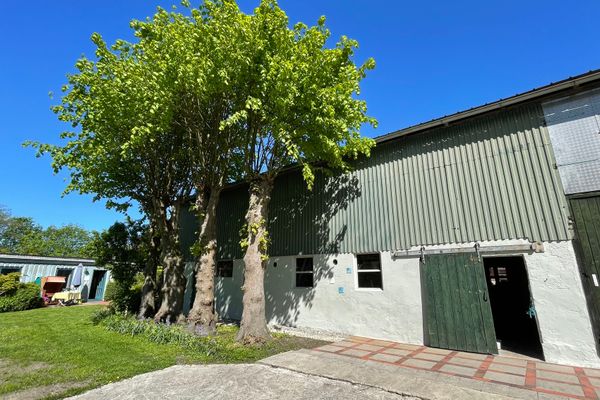  Whg. Strandhütte - Vierlindenhof Böhl - 