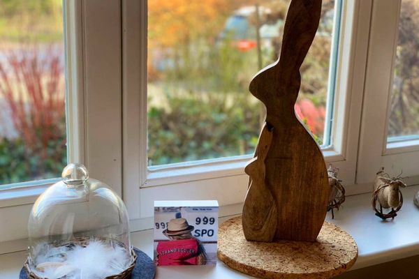  Whg. Seekiste - Vierlindenhof Böhl - 