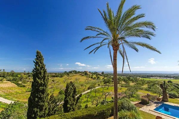   Finca Es Turo del Golf