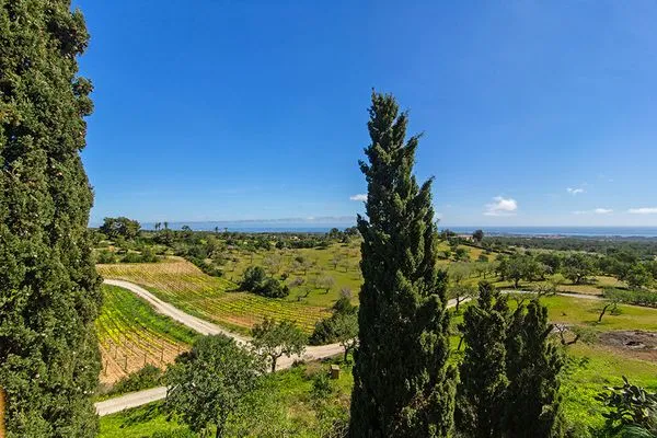   Finca Es Turo del Golf