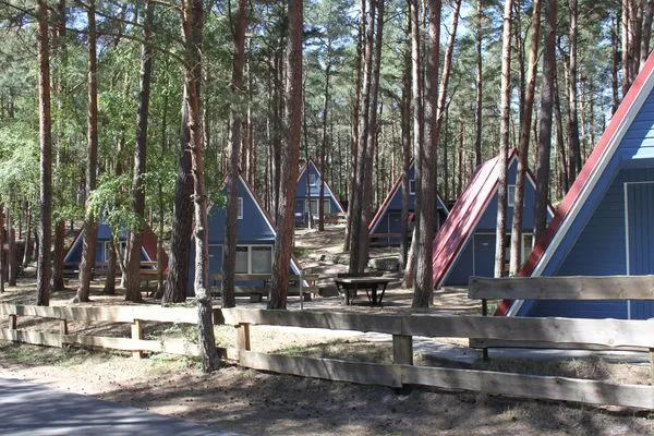   Waldidylle & Meerblick – Finnhütte im Kiefernwald nur 150 m zum Strand - Antonin