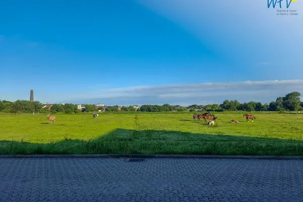 Landschaftsbilder Richthofenstraße Holiday Residenz I Ferienwohnung Inselheimat B42
